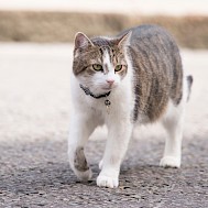 Euan Cherry/Shutterstock