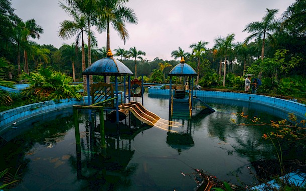 ronny bolliger/Shutterstock