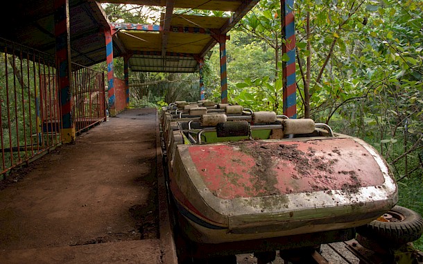 Daniel Slenders/Shutterstock