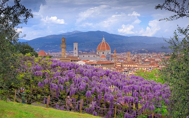 vololibero/Shutterstock