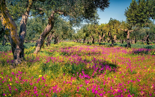 Andrew Mayovskyy/Shutterstock