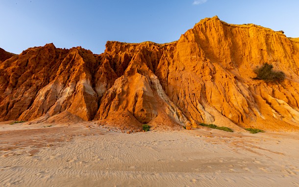 Jan Wehnert/Shutterstock