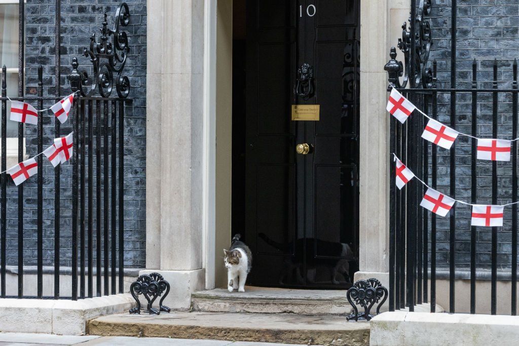 Társat kap maga mellé Larry, a macska a Downing Streeten