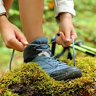 Pheelings media/Shutterstock