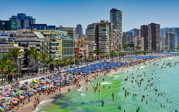 JoaoCachapa/SHutterstock
