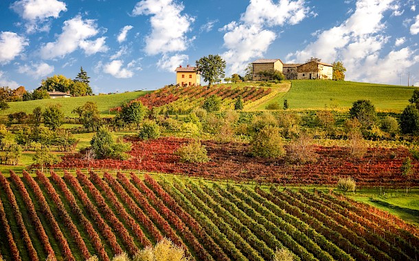 Stefano Termanini/Shutterstock