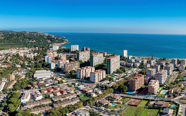 Peter Togel/Shutterstock