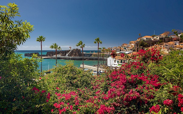 Pawel Uchorczak/Shutterstock