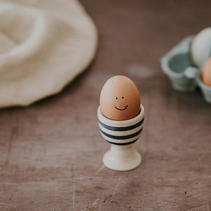 Annie Spratt/Unsplash