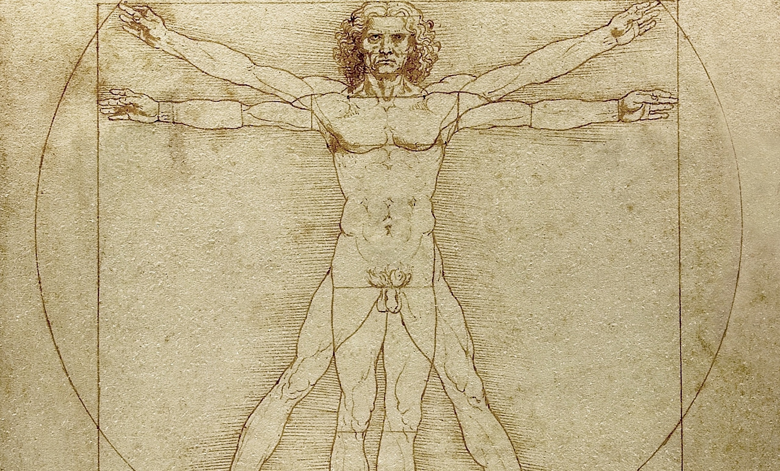 Egy rejtett részlet segíthet megoldani Leonardo da Vinci 500 éves rejtélyét