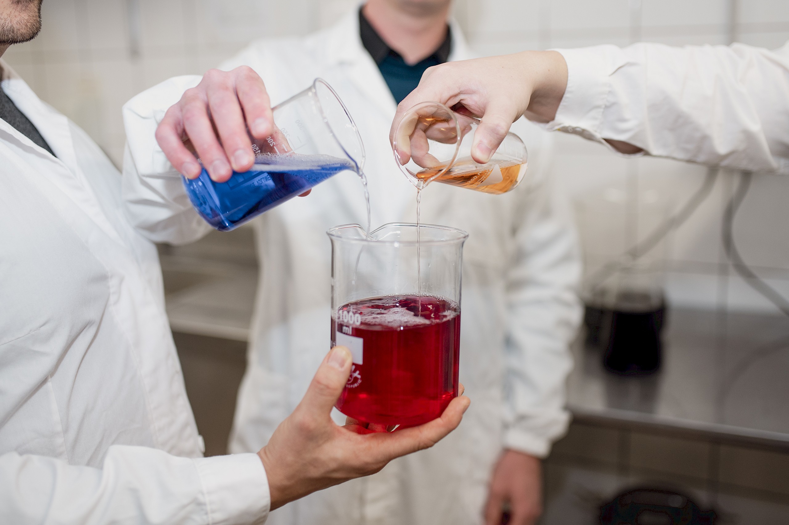 Ehetővé tenni a talajt: egy magyar kutatócsapat világszabadalma új ajtót nyitott egy eddig láthatatlan világra