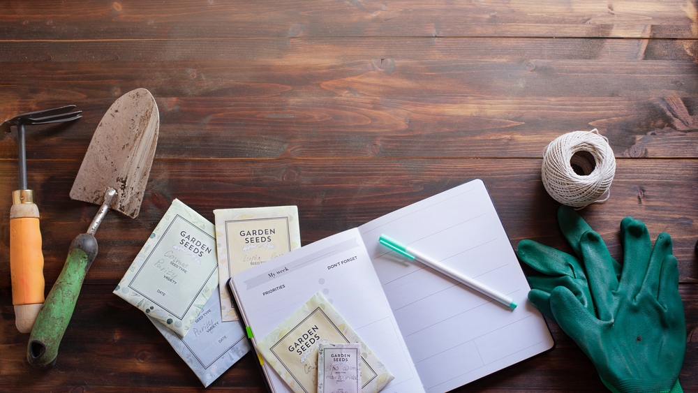 7 dolog, amit érdemes kidobni az otthonodból  a tavaszi nagytakarításkor