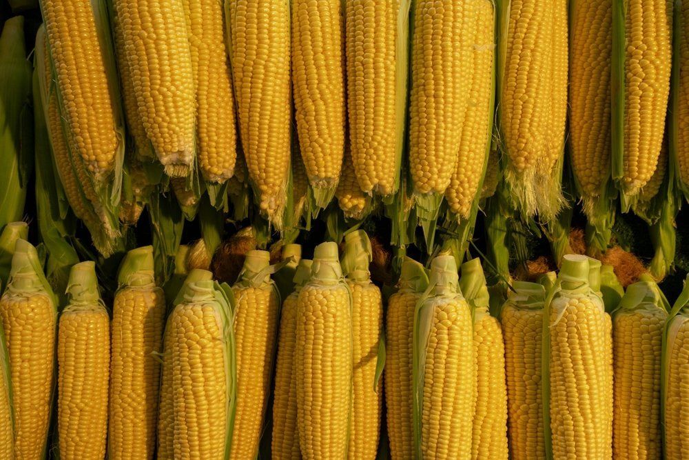 Ezzel az ügyes trükkel megszabadulhatunk a kukoricahajtól