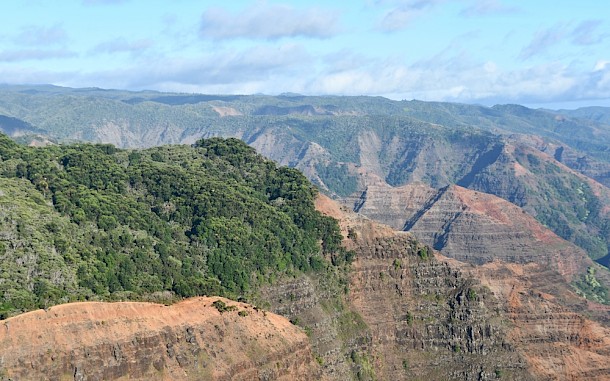 Ritu Manoj Jethani/Shutterstock