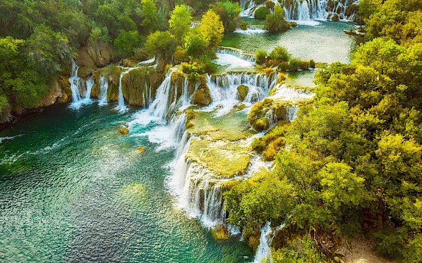 Roxana Bashyrova/Shutterstock