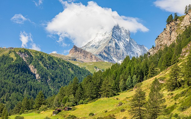 Gunter Nuyts/Shutterstock