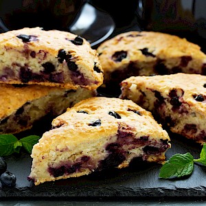 Lesya Dolyuk/Shutterstock