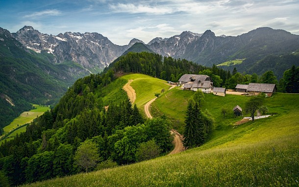 Gaspar Janos/Shutterstock