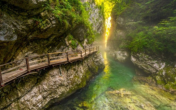 Unai Huizi Photography/Shutterstock