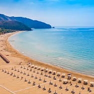 Oleg_P/Shutterstock