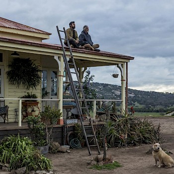 A h&aacute;trahagyottak/IMDb