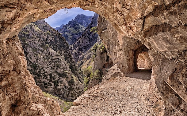 Al Carrera/Shutterstock