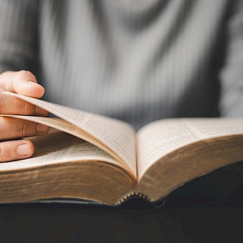 Doidam 10/Shutterstock