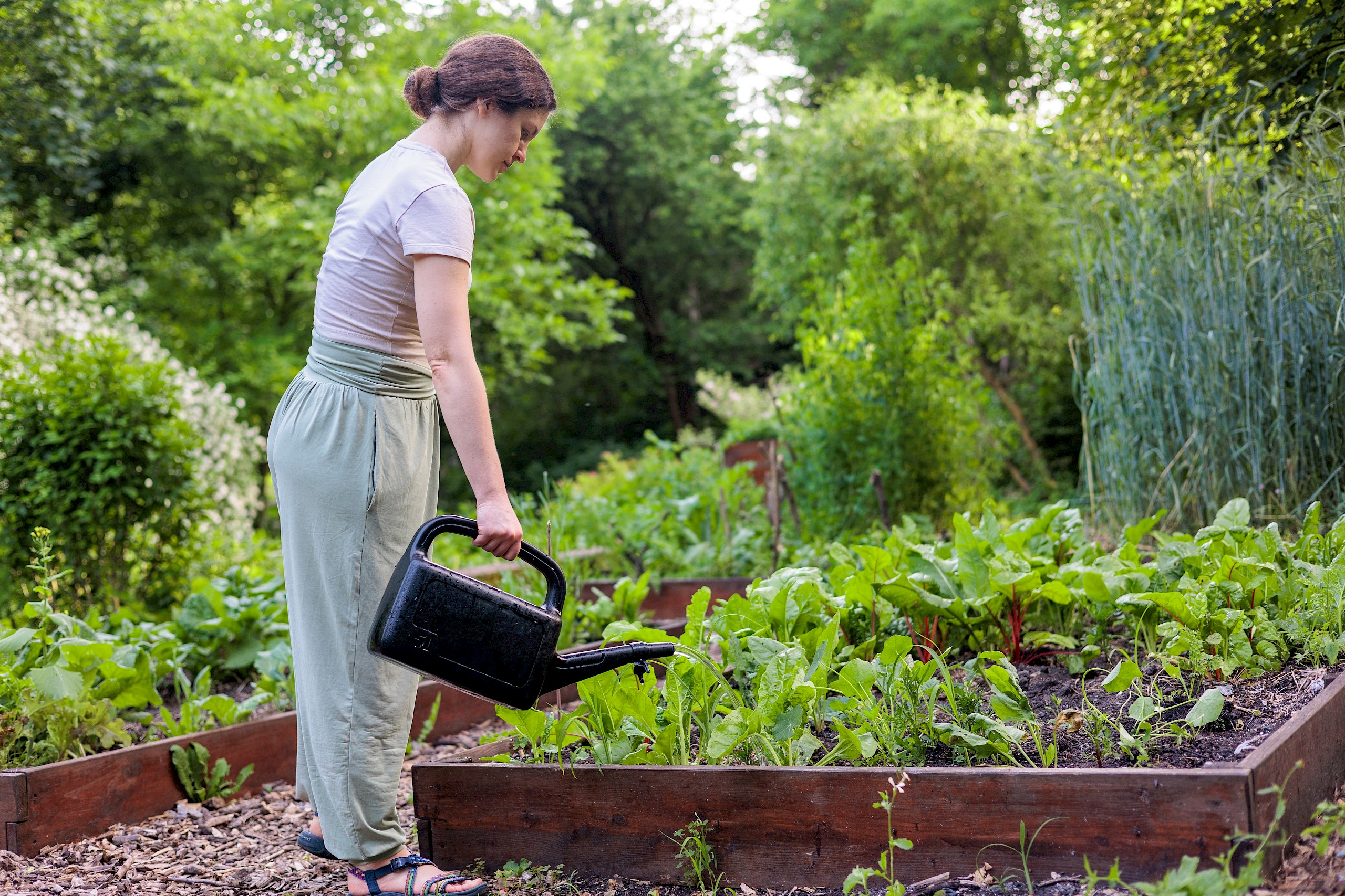 6 tavaszi zöldség, amit ha most elültetsz, egy hónap múlva már meg is terem