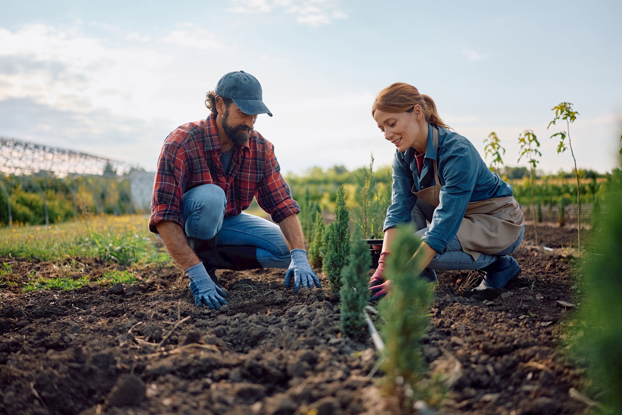 6 tavaszi zöldség, amit ha most elültetsz, egy hónap múlva már meg is terem