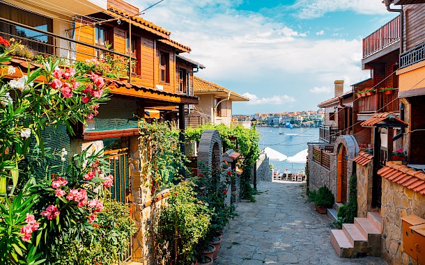 Sanga Park/Shutterstock