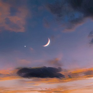 Nazarii_Neshcherenskyi/Shutterstock