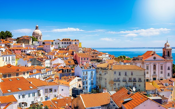 Sven Hansche/Shutterstock