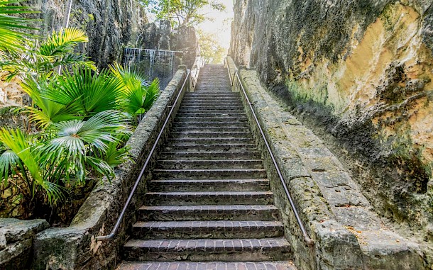 Nancy Pauwels/Shutterstock