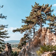 Naomi visuals/Shutterstock