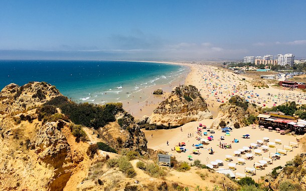 Leonardo Macedo/Shutterstock