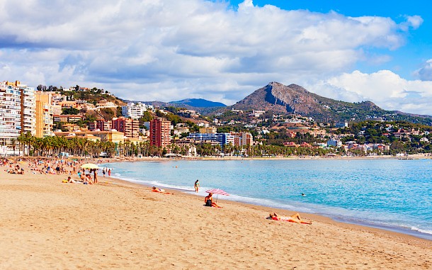 saiko3p/Shutterstock