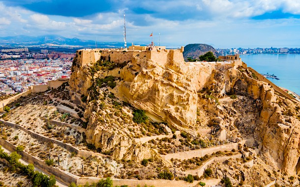 saiko3p/Shutterstock