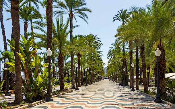 daily_creativity/Shutterstock