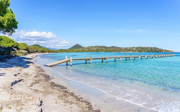 Balate.Dorin/Shutterstock