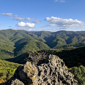 zolaci/Shutterstock