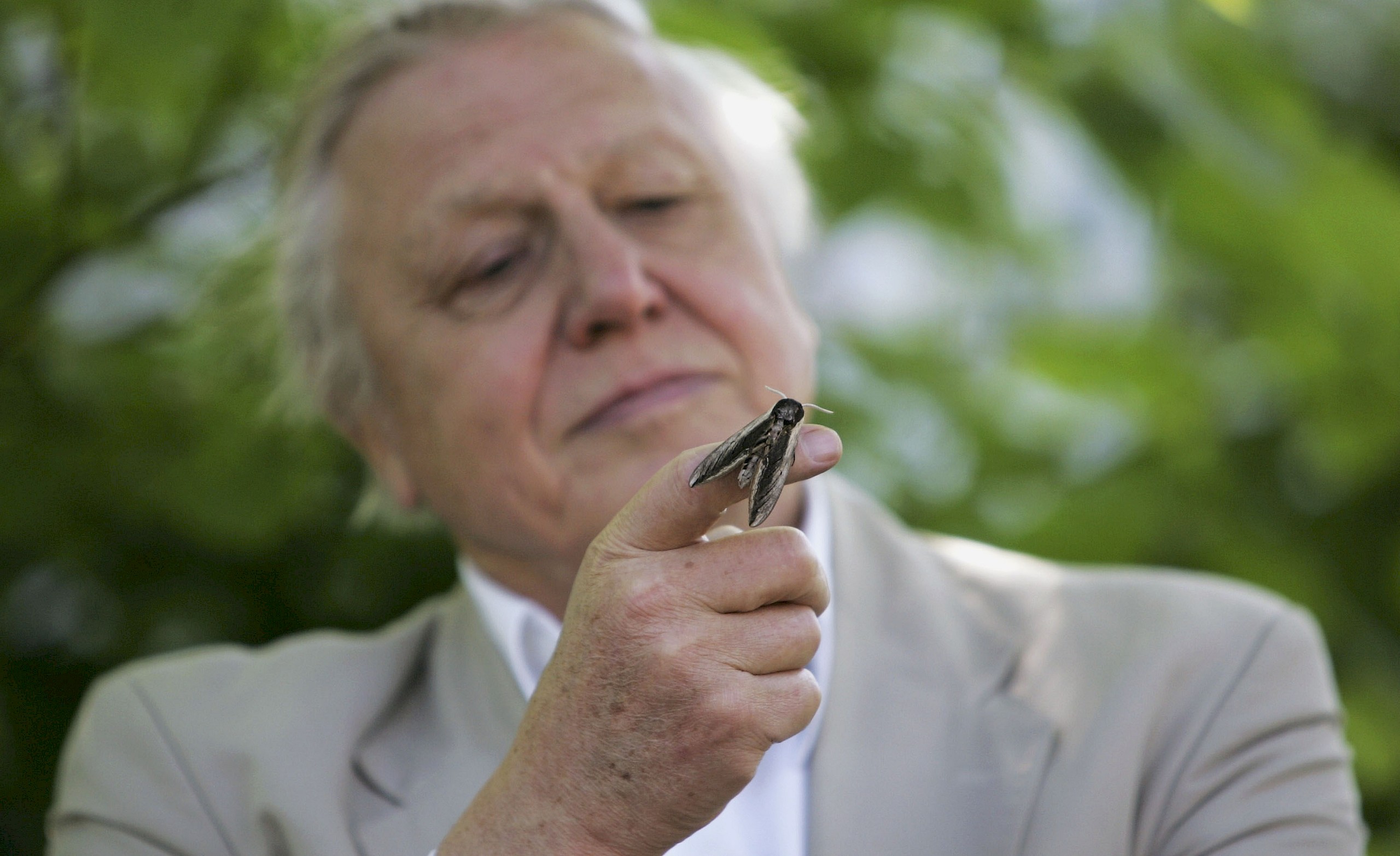 David Attenborough 100 éves – ez lehet hosszú életének titka