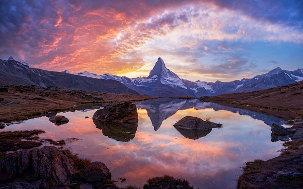 Smit/Shutterstock