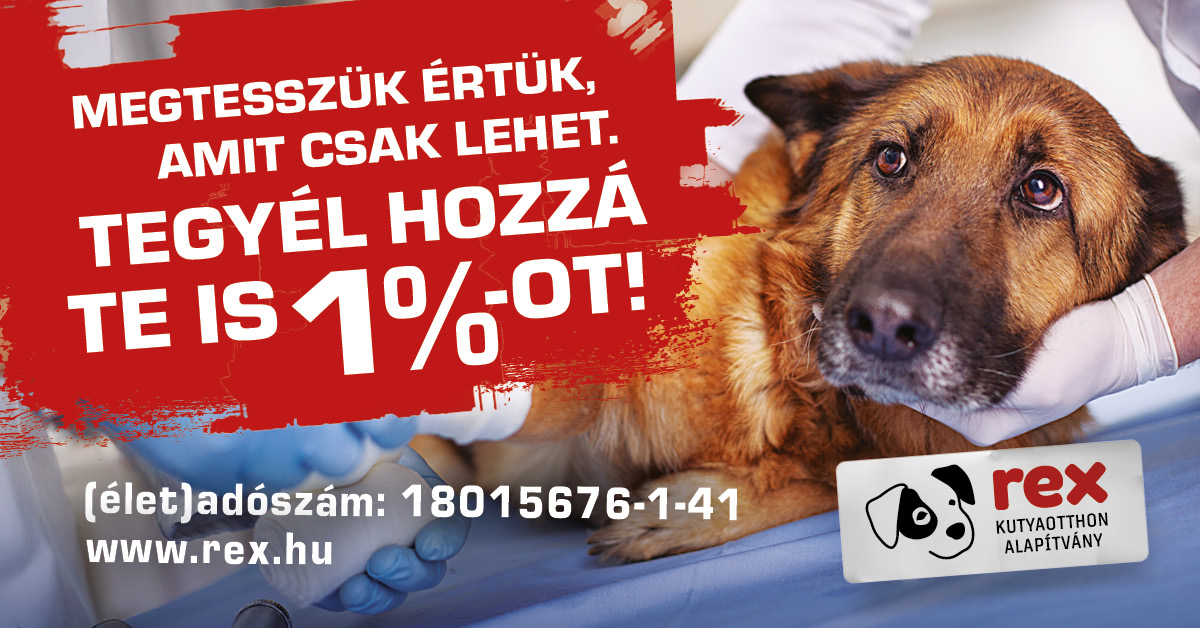 Harmincöt éve az állatok szolgálatában