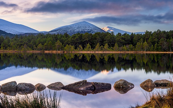 Andrew Peter Briggs/Shutterstock