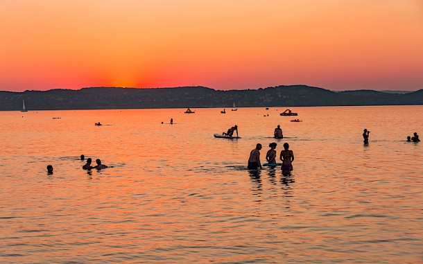 Pelle Zoltan/Shutterstock
