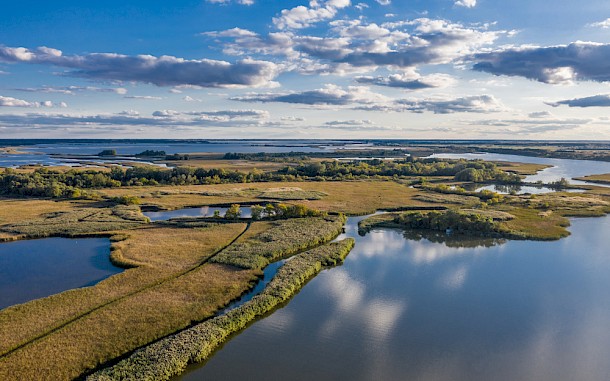 feelthedrone/Shutterstock