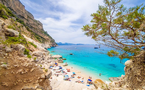 ValerioMei/Shutterstock