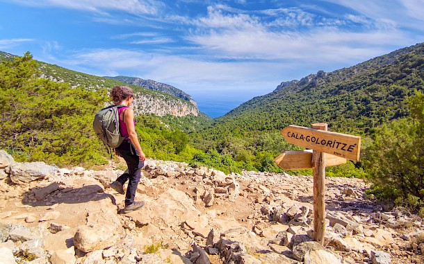 ValerioMei/Shutterstock