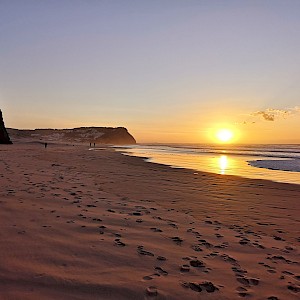 SilviaMonga/Shutterstock