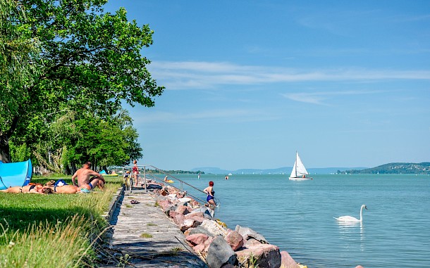 A great shot of/Shutterstock